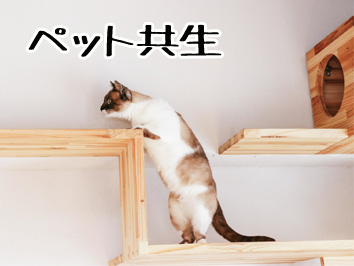 ペット共生