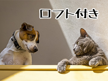ロフト付き