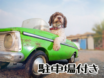 駐車場付き