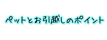 ペット可物件へのペットとのお引越しのポイント