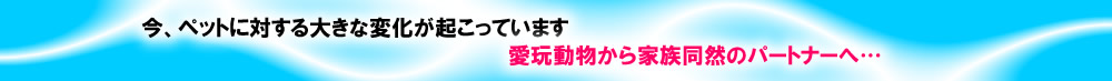 今、ペットに対する大きな変化が起こっています。
愛玩動物から家族同然のパートナーへ。